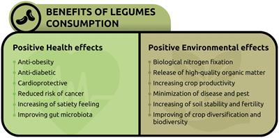 Legumes and common beans in sustainable diets: nutritional quality, environmental benefits, spread and use in food preparations